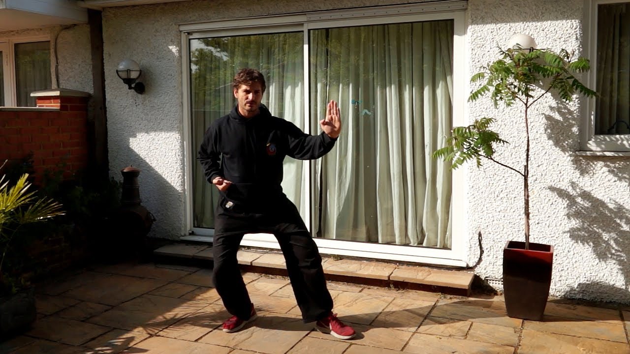 Kung Fu Tutorial - Arhat Boxing Short Form - Part 1