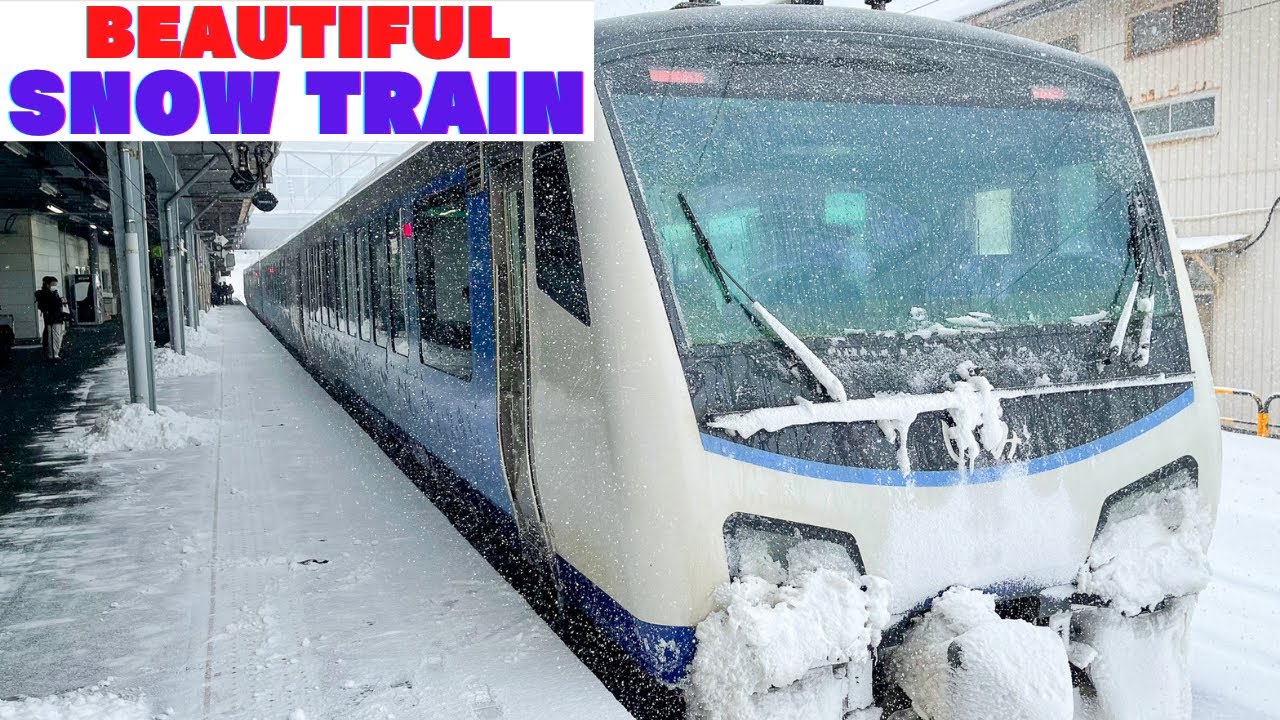 Поездка &laquo;Курорт Шираками&raquo; в купе / из Акиты в Госогавару