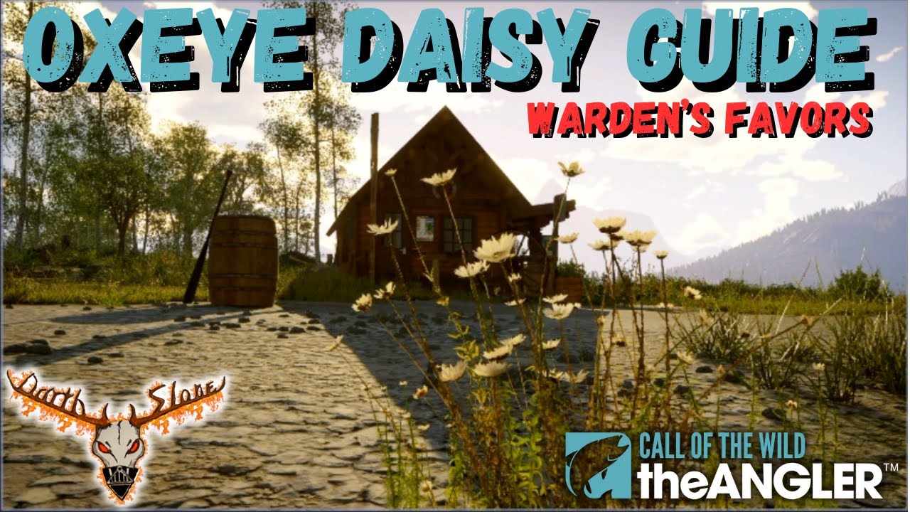 Warden's Favors: Oxeye Daisy Guide