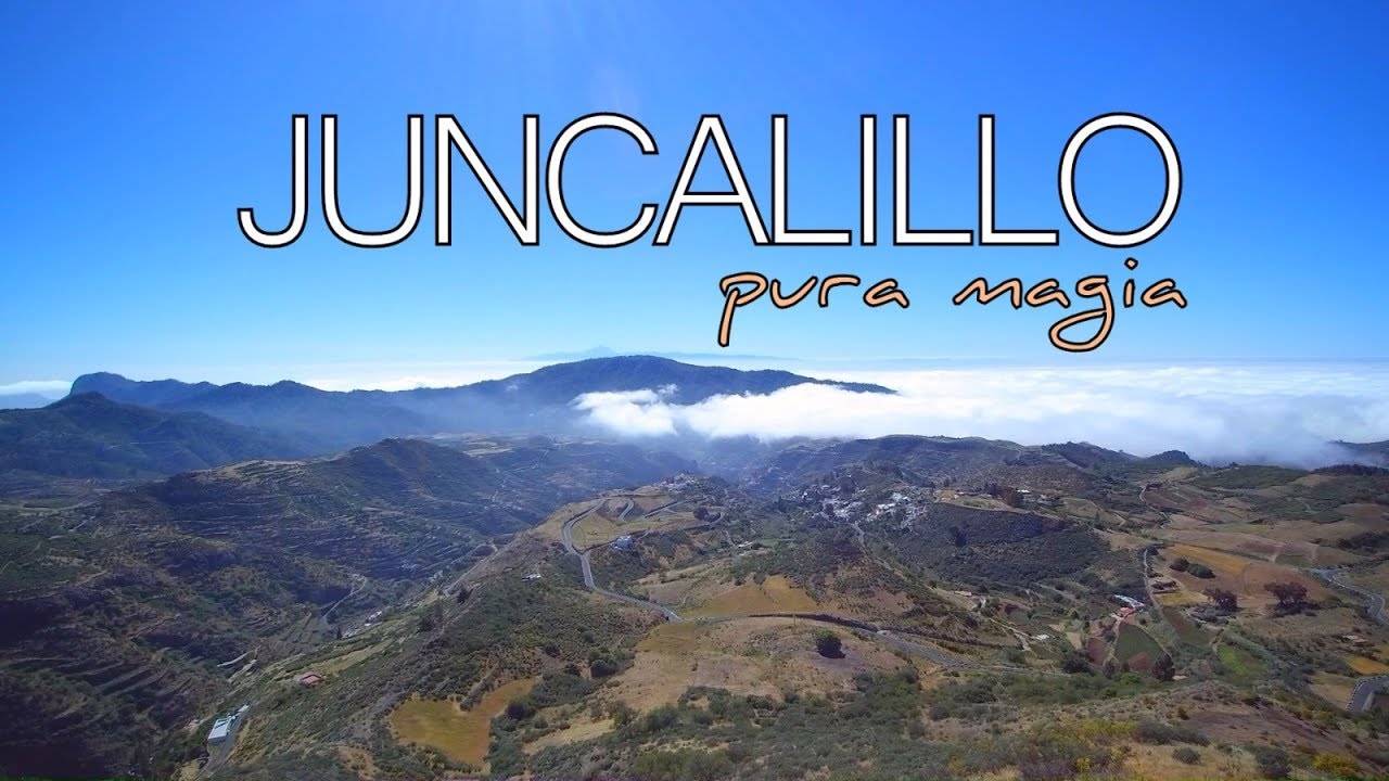 JUNCALILLO 