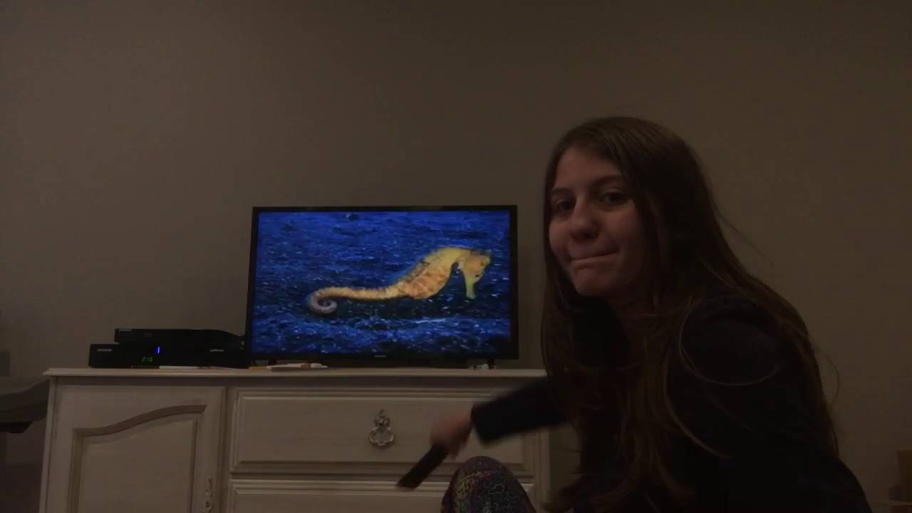 Let's Watch Baby Einstein: Baby Noah Part 4