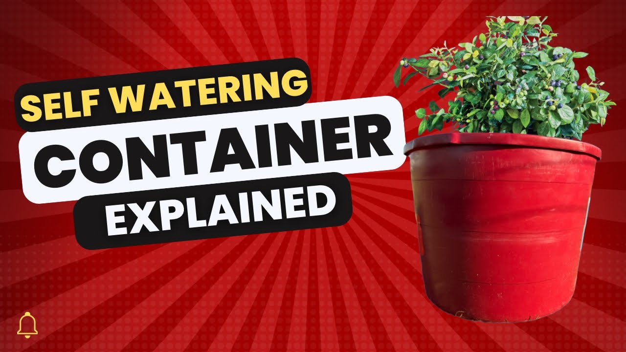 Self Watering Container - Setup and  Explanation - The Only Video Worth Watching