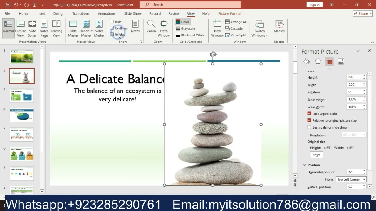 Exp22 PowerPoint Ch04 Cumulative Ecosystem