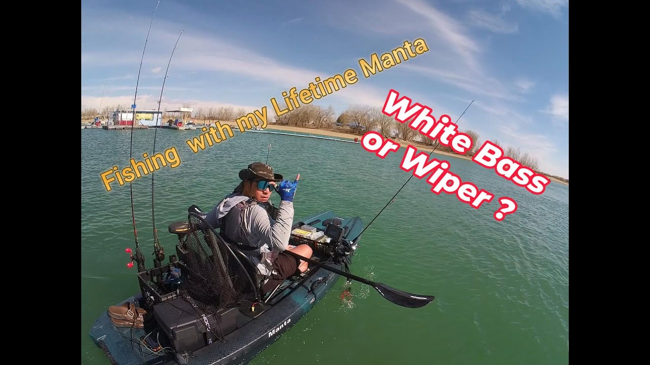 Fishing with my Lifetime Manta fully upgraded, best Bait for wipers, White Bass?