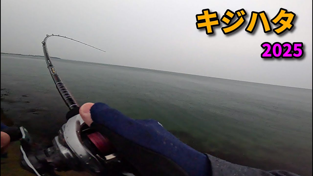 大型キジハタのコツを話しながらハートランド7112MRBで入れ食い堪能。#釣り #キジハタ #カサゴ釣り