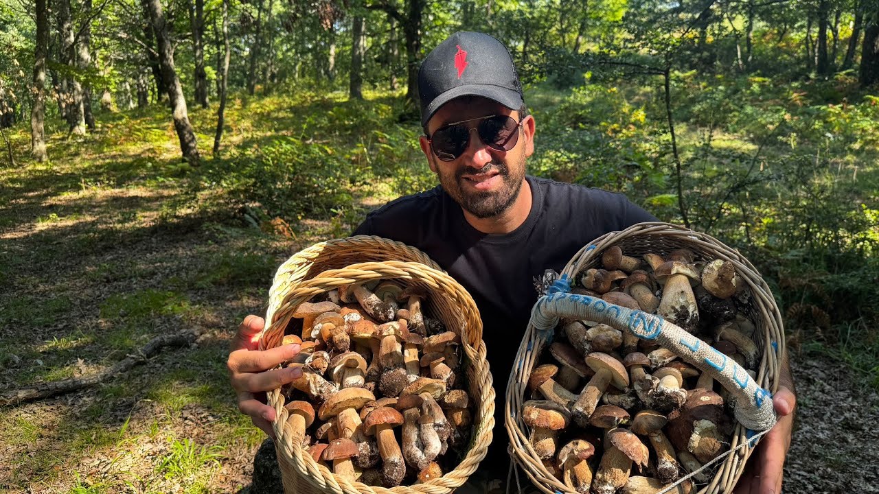 “Caccia ai Funghi Porcini 2025 🍄 Avventura tra i Boschi con Pasquale sotto il Sole 🔥” Sperone boom"