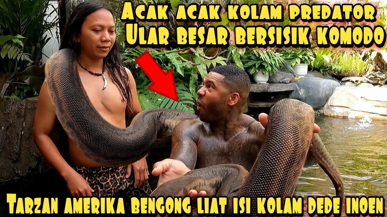 THEREAL TARZAN BONGKAR KOLAM PREDATOR MILIK DEDE INOEN #part1