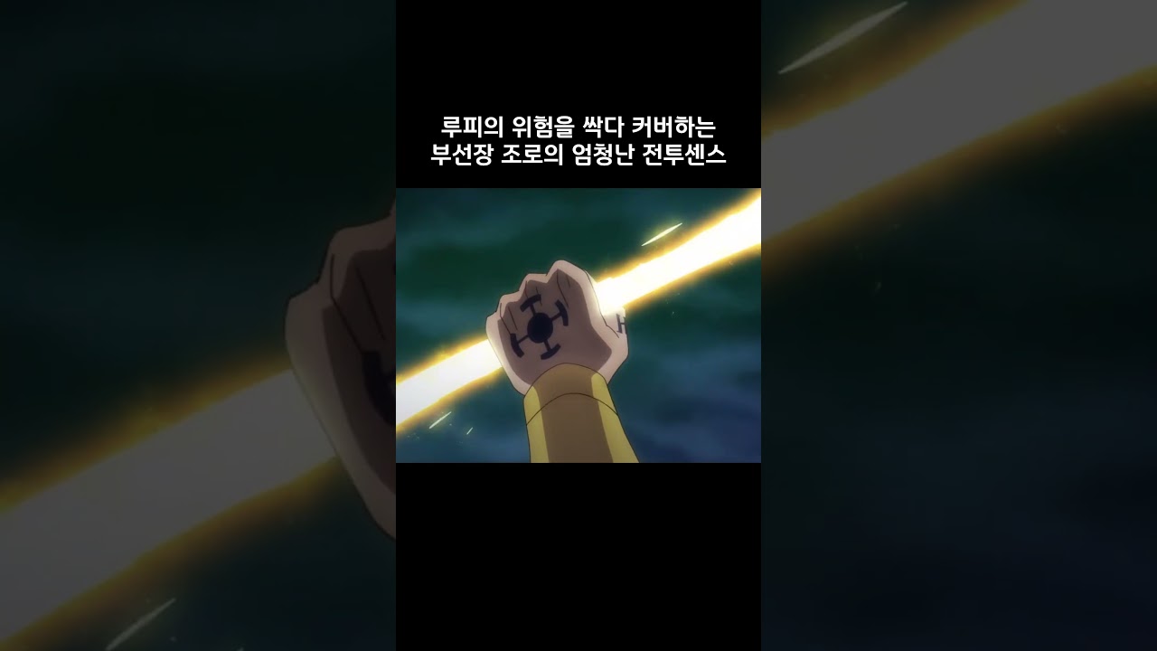 루피의 위험을 싹다 커버하는 부선장 조로의 엄청난 전투센스 #원피스