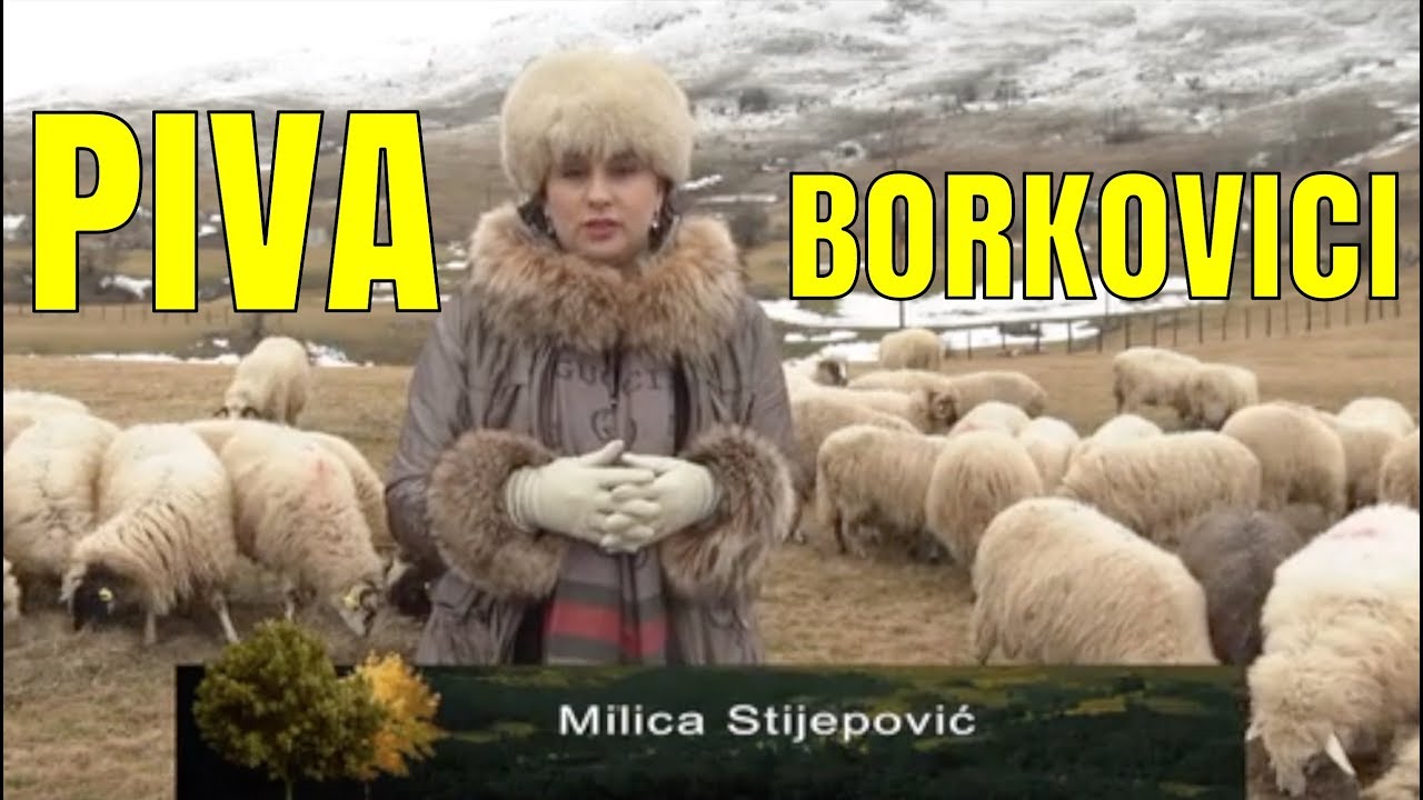 PRICA SA SELA -  PIVA SELO BORKOVICI