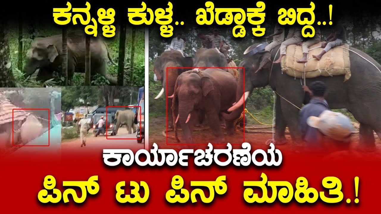 ಅಬ್ಬಬ್ಬಾ..! ಜನರನ್ನ ಓಡಿಸಿಕೊಂಡು ಹೋದ ಕಾಡಾನೆ.! ಮುಂದೇನಾಯ್ತು.? Elephant Operation | Chikkamagaluru