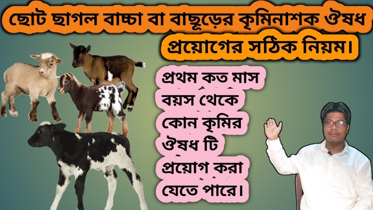 বাচ্চা ছাগল ও বাছুরের কৃমিনাশক ঔষধ প্রথম কত দিন বয়স থেকে দেবেন।Gat Kids and Calf Deworming