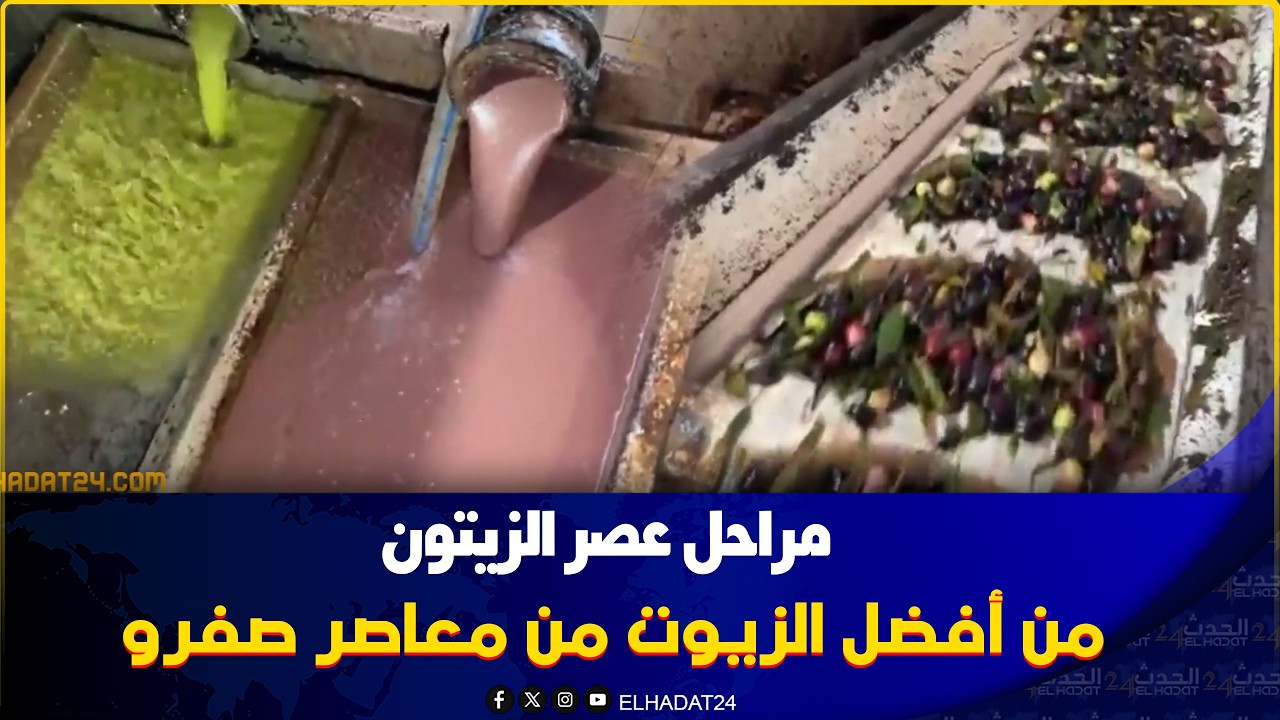 طريقة عصر الزيتون  من داخل معصرة باقليم صفرو