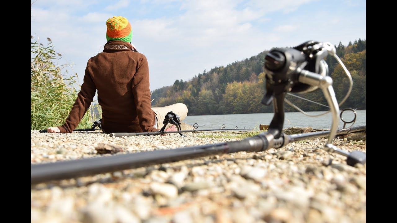 CARPtastic am Smartinsko jezero | Karpfenangeln in Slowenien