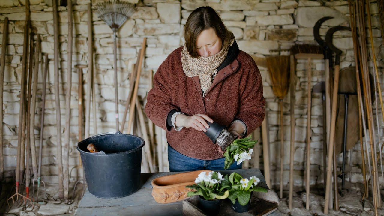 From Workshop to Future Vegetable Garden (#67)