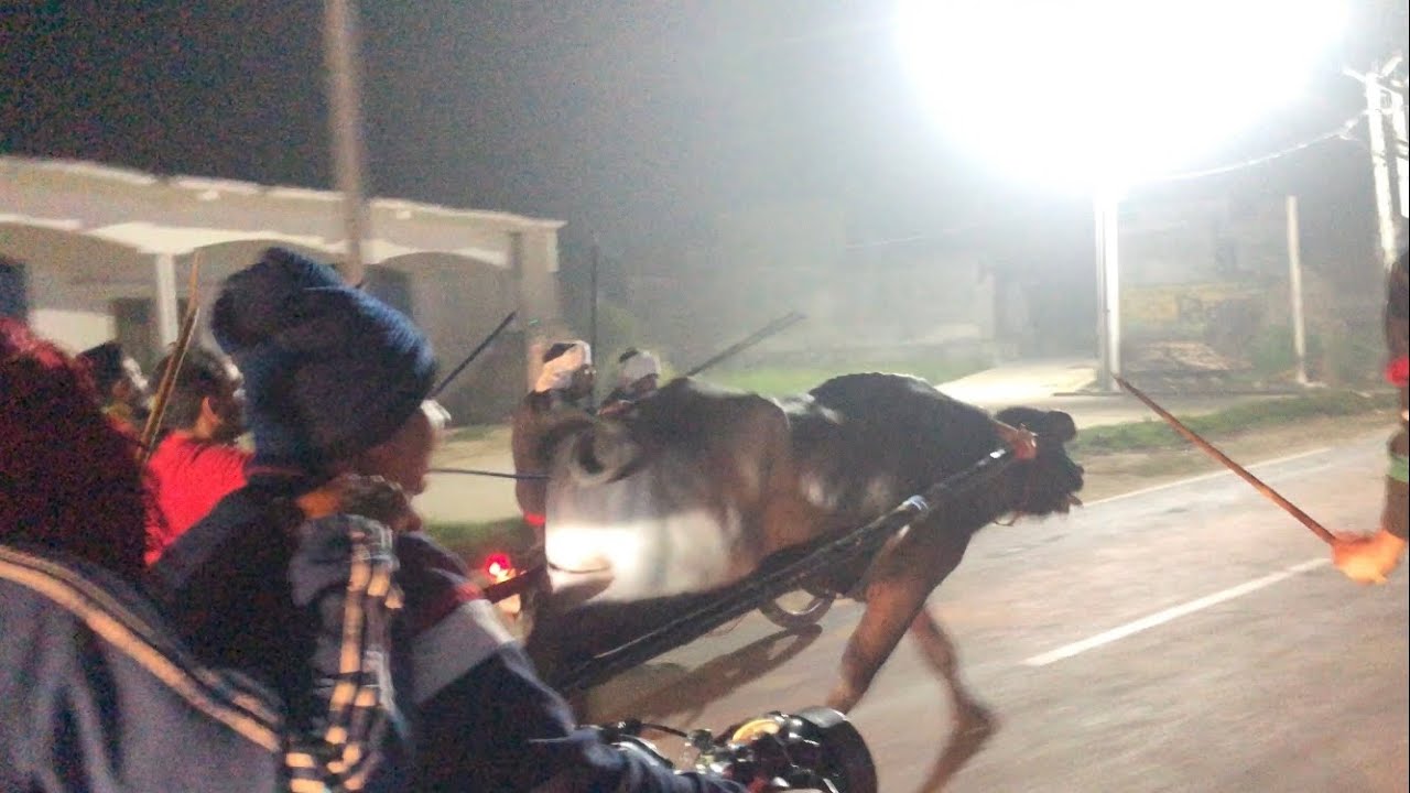 सचिन राजपुरा और विषु  राजपुरा के बीच 5 km का मुक़ाबला हुआ ( जिसमे सचिन राजपुरा winner 🏆