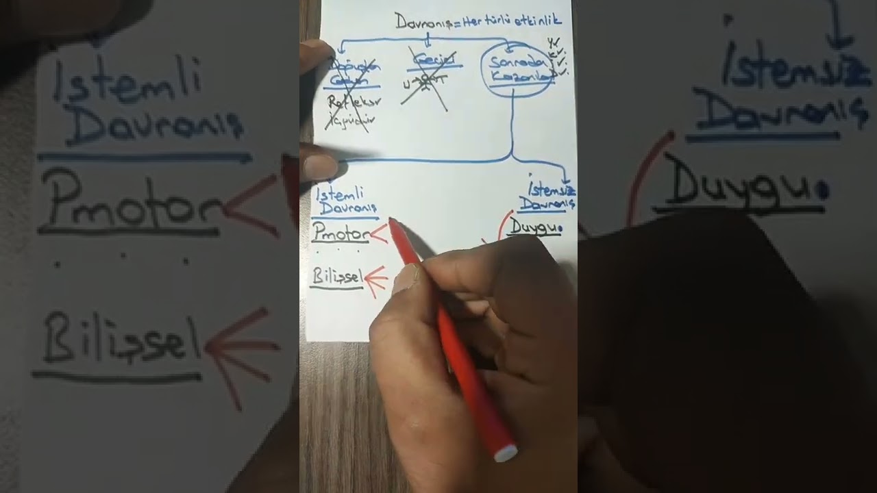 öğrenme psikolojisi 06 Eylül Instagram deneme çözümü