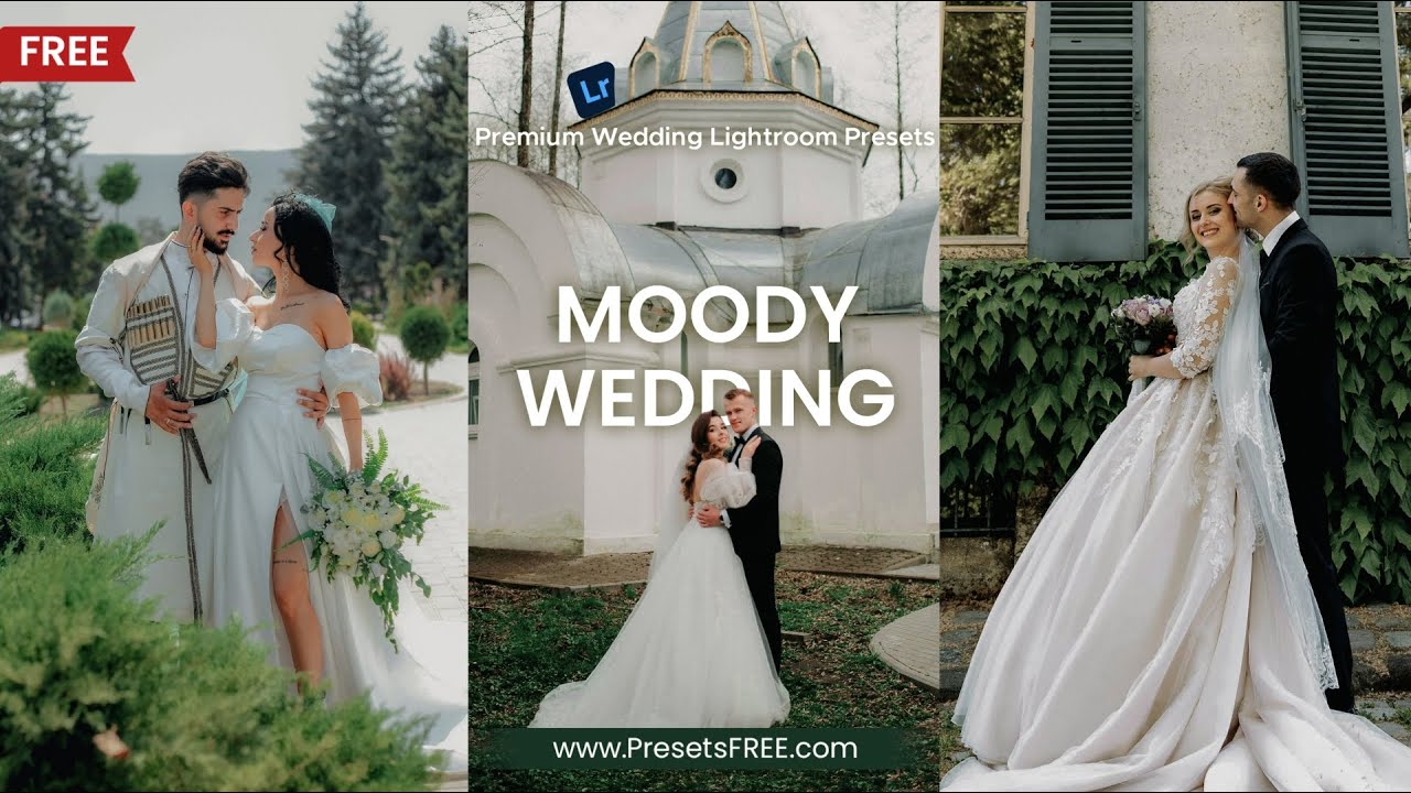 Get FREE Moody Wedding Lightroom Presets | Moody Wedding Free Lightroom Presets DNG and XMP 💍