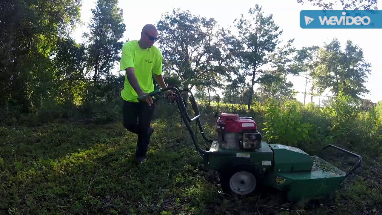 Billy goat Brush cutter! Over grown lot