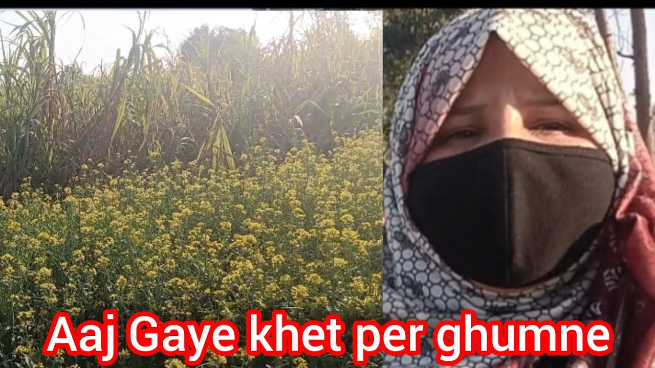 Aaj gaye khet per ghumne 🥦🌼 #sahiba khan#faull vlog daily vlog family vlog thanks for watching