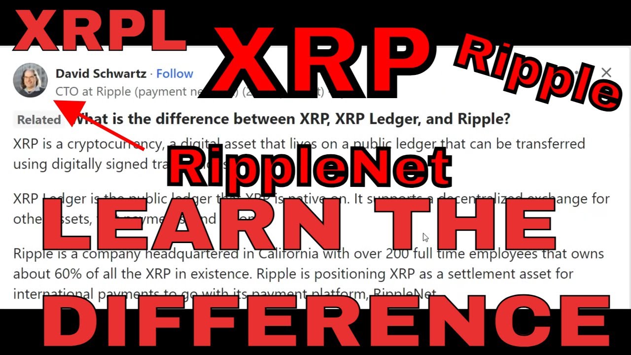 Differences between XRP Ripple XRPL & RippleNet #xrp #cryptonews #ripplenews #xrparmy #ripplenet