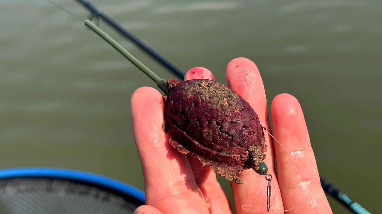 Method feeder škola – Lekce z mistrovství #rybaření