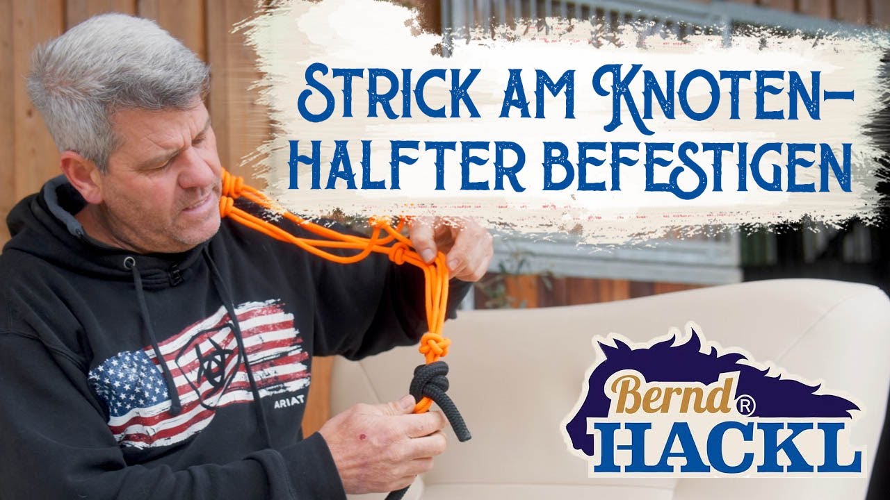 Den Strick am Knotenhalfter befestigen | Bernd Hackl erkl&auml;rt! 🐴
