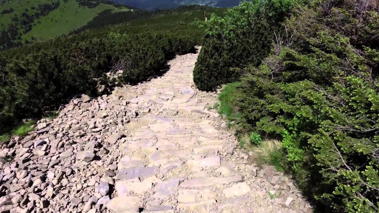 Babia Góra 2015. Mammut – 1/2 Sky Marathon, Zawoja 13 czerwca 2015. Cobra