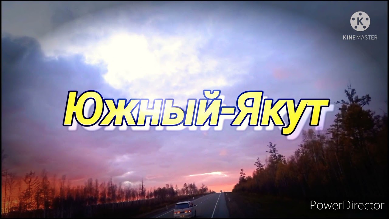 кафе м 55 обзор