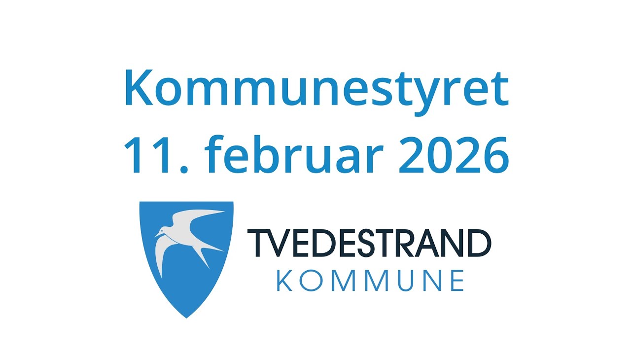 Kommunestyret i Tvedestrand 11. februar 2026
