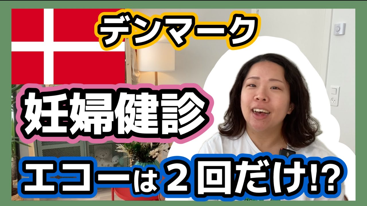 【妊婦健診①】医療費無料のデンマークは妊婦健診も最低限！プライベートクリニックでのエコー検査とは？？