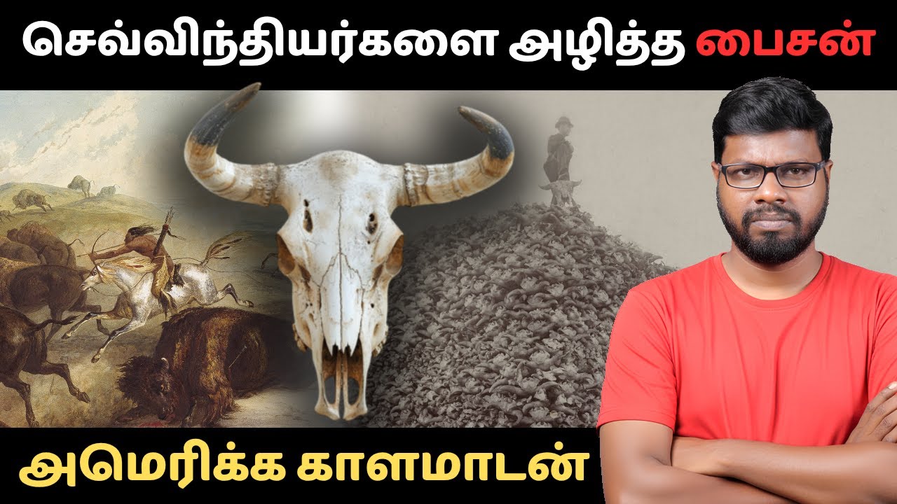 The Great American Bison Massacre | இன அழிப்பின் மறைக்கப்பட்ட வரலாறு | Big Bang Bogan