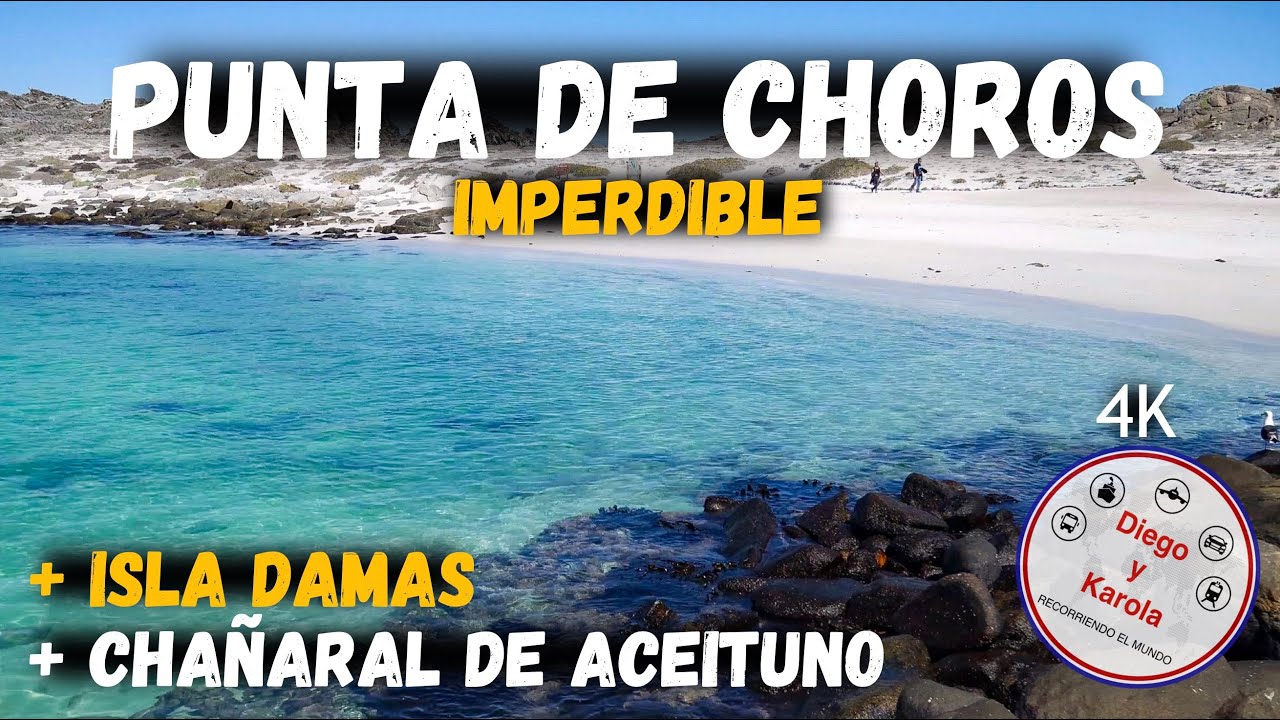 PUNTA DE CHOROS, ISLA DAMAS Y CHAÑARAL DE ACEITUNO | CHILE | 4K |