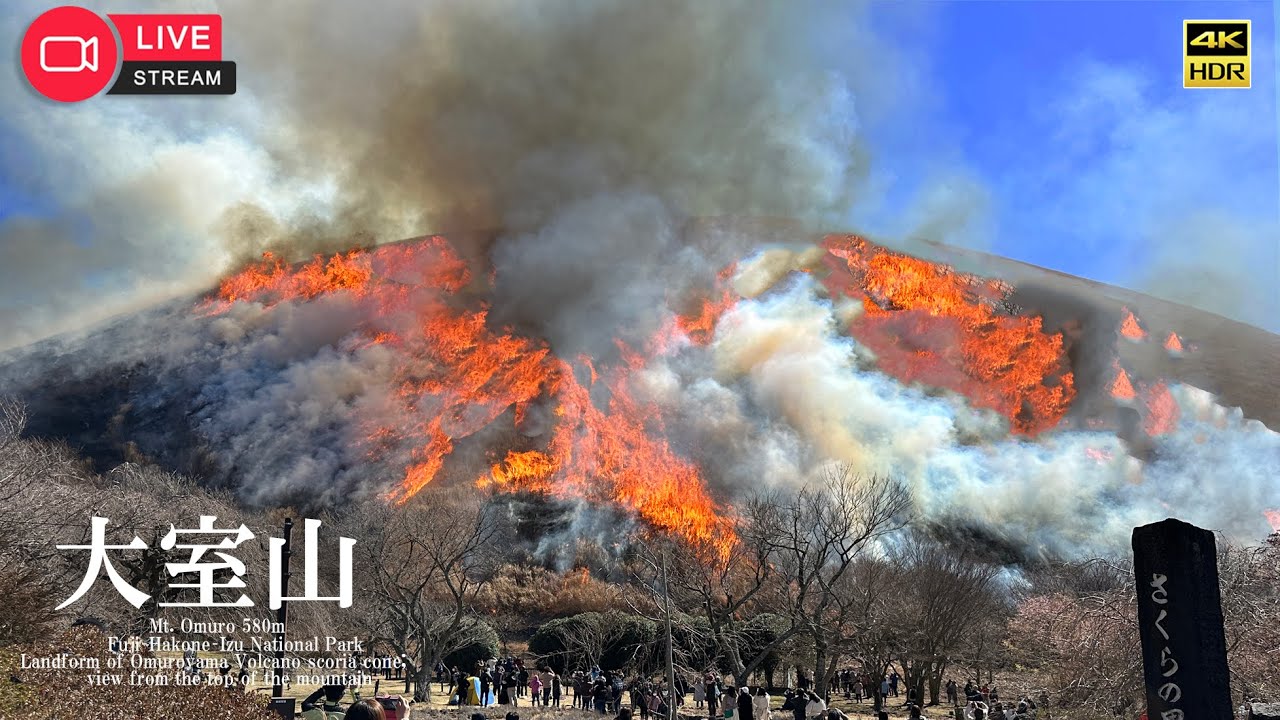 4K映像✴︎あぁ山が燃える••【大室山】山焼き2023年２月26日