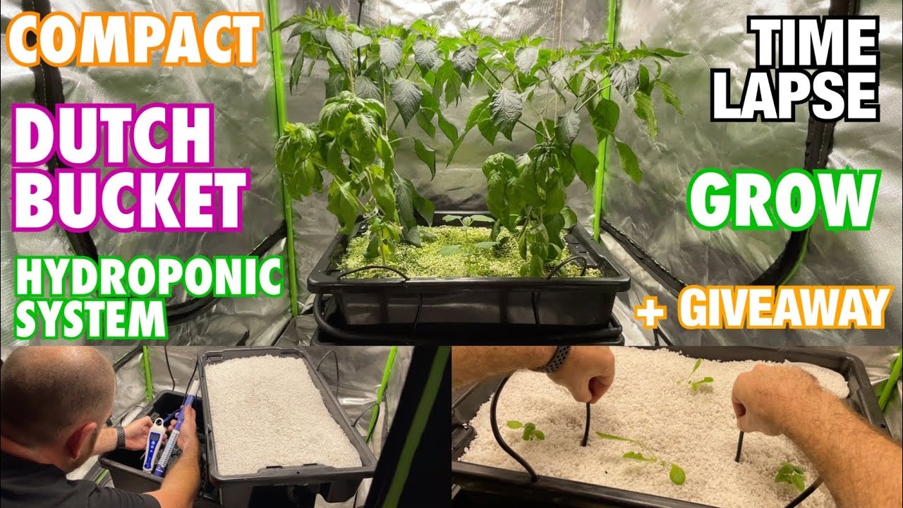 Compact Dutch Bucket Time-Lapse Grow + Grow Light Giveaway!