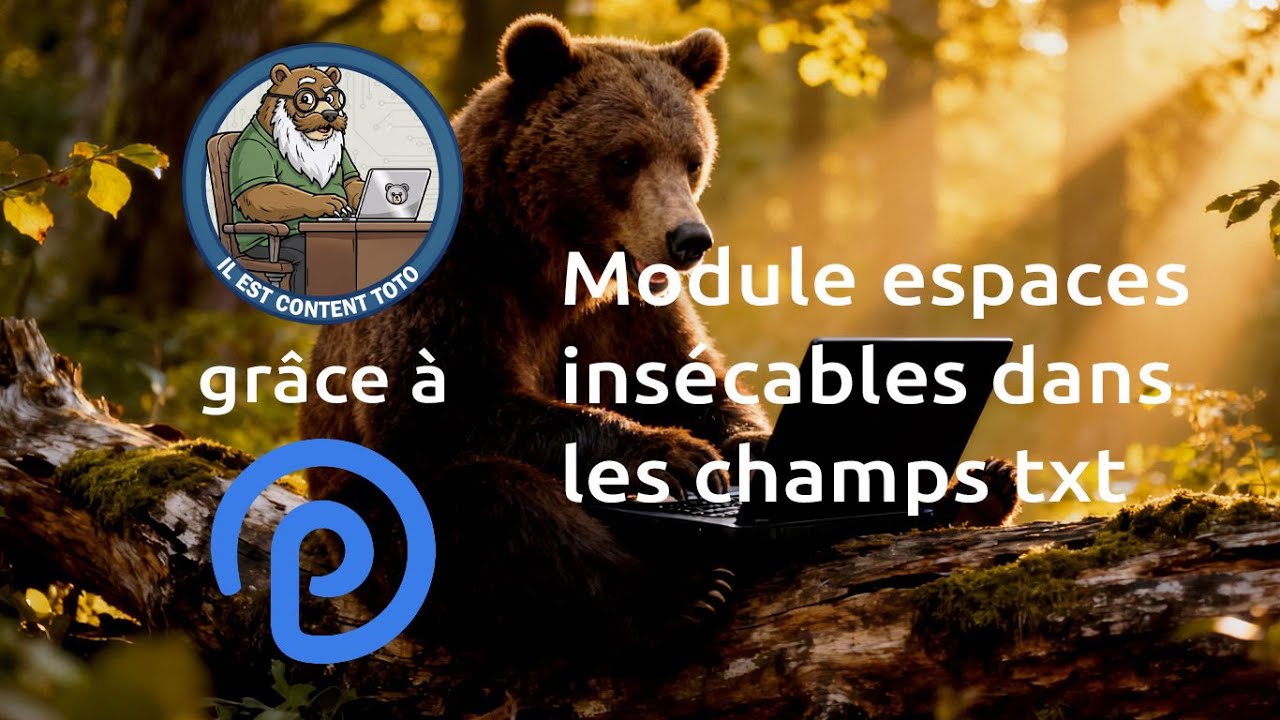 Processwire espaces insécables champs txt