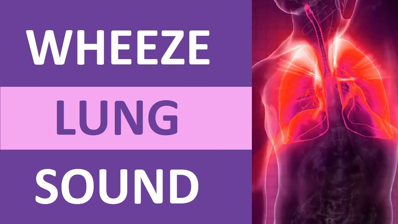 Wheezing Lung Sound Audio (High Pitch) | Nursing Adventitious Lung Sounds NCLEX Review