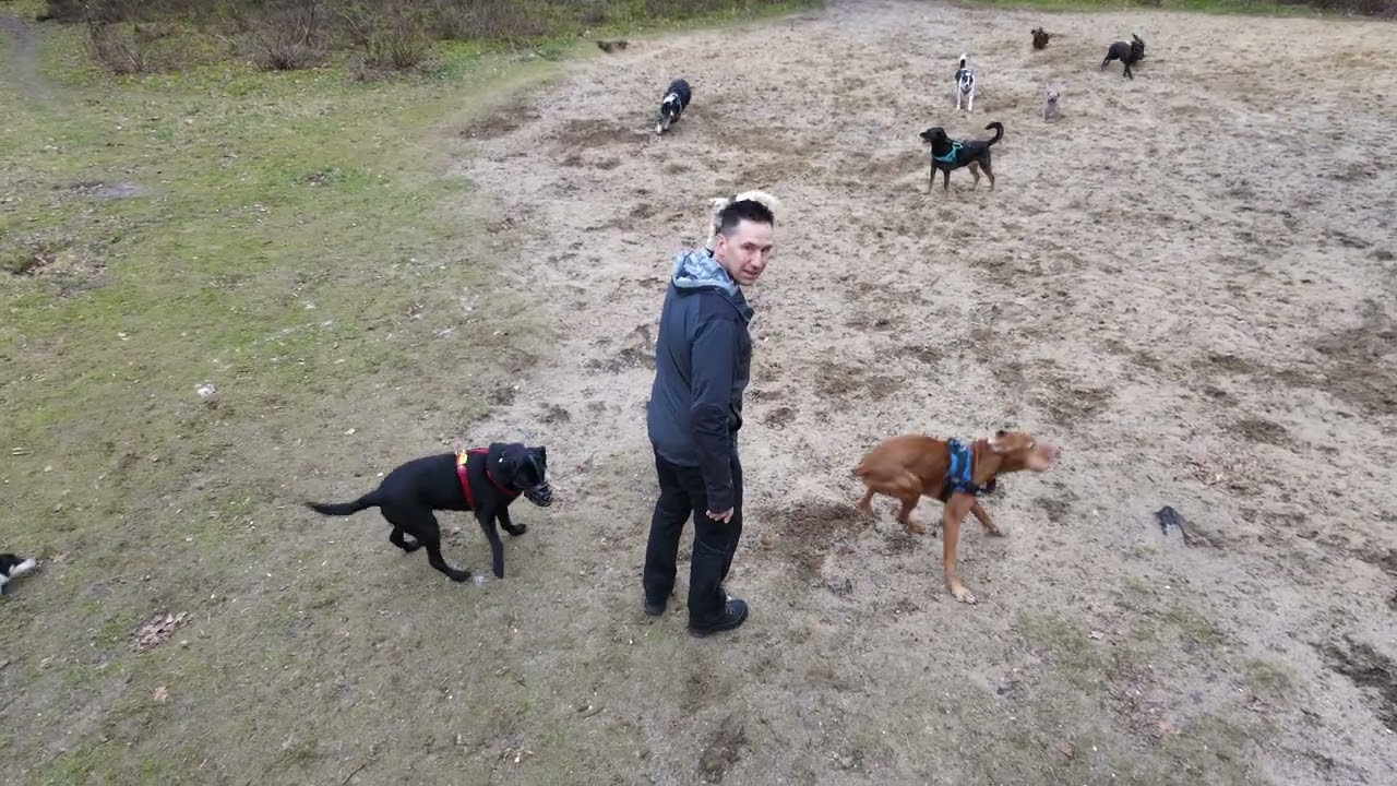 Hotdogs Apeldoorn wandeling 23 februari 2026