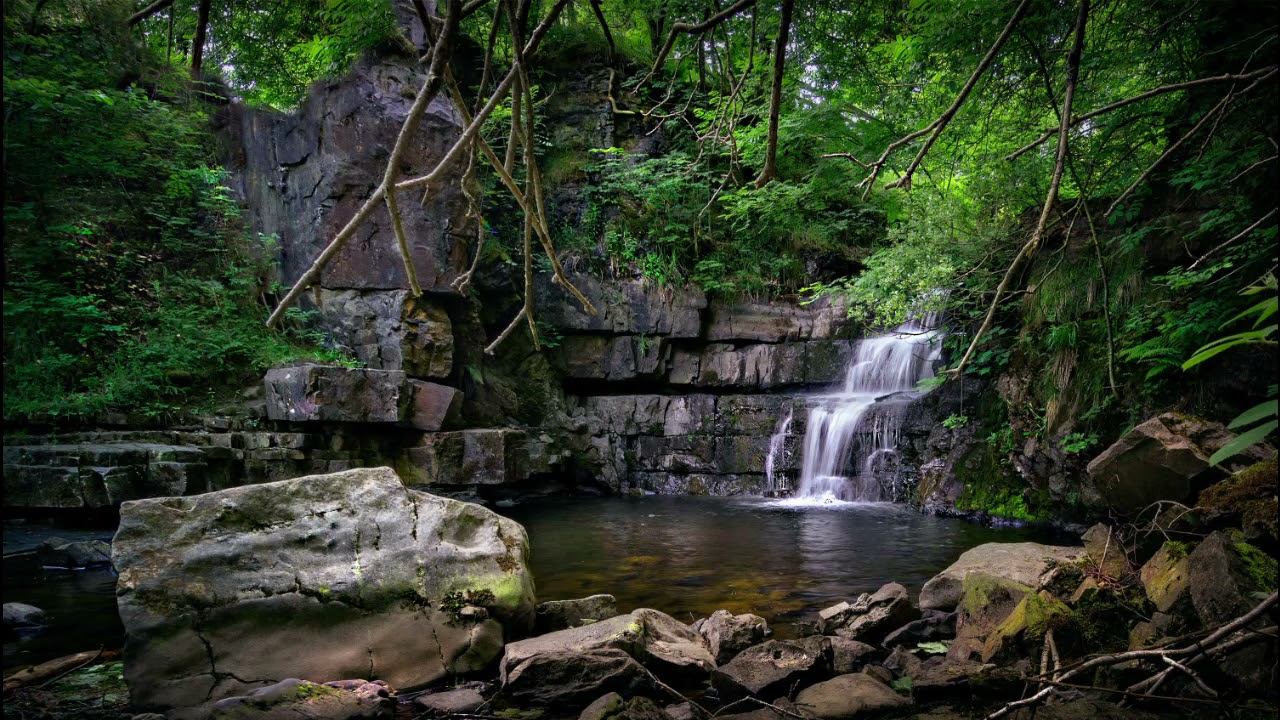Soothing and calming music to relax and heal.