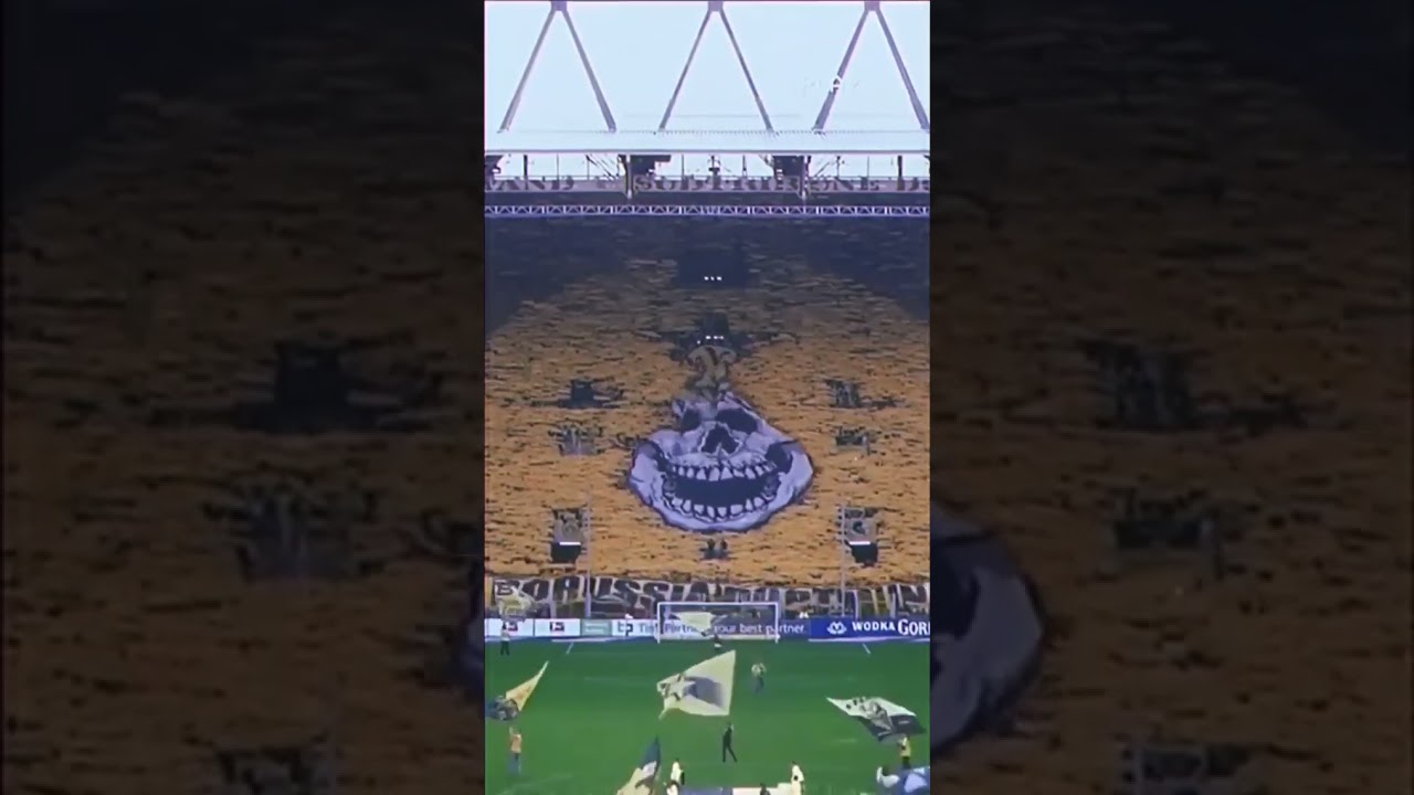 Dortmund fans😍🟡⚫