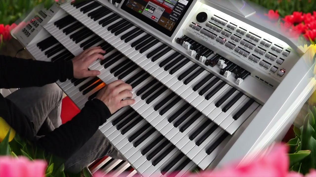 Frank Rest plays Tulips from Amsterdam - Tulpen aus Amsterdam   Composer: Ralf Arnie