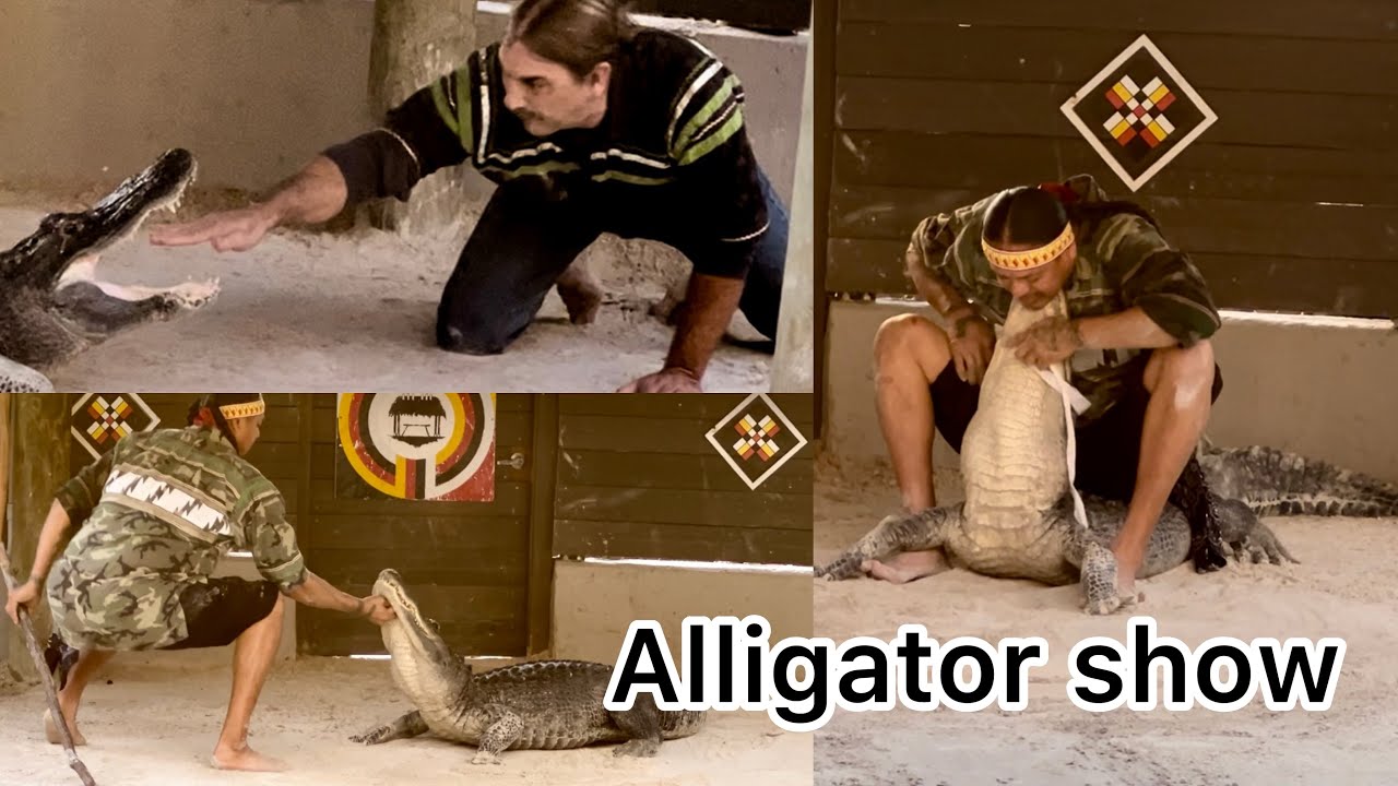 Alligator show | Native American old style