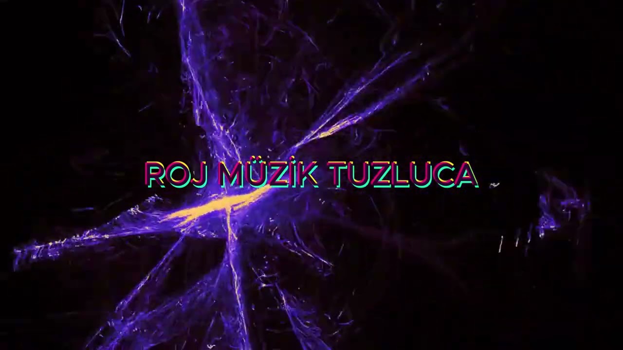 Roj Müzik HALAY KASETİ