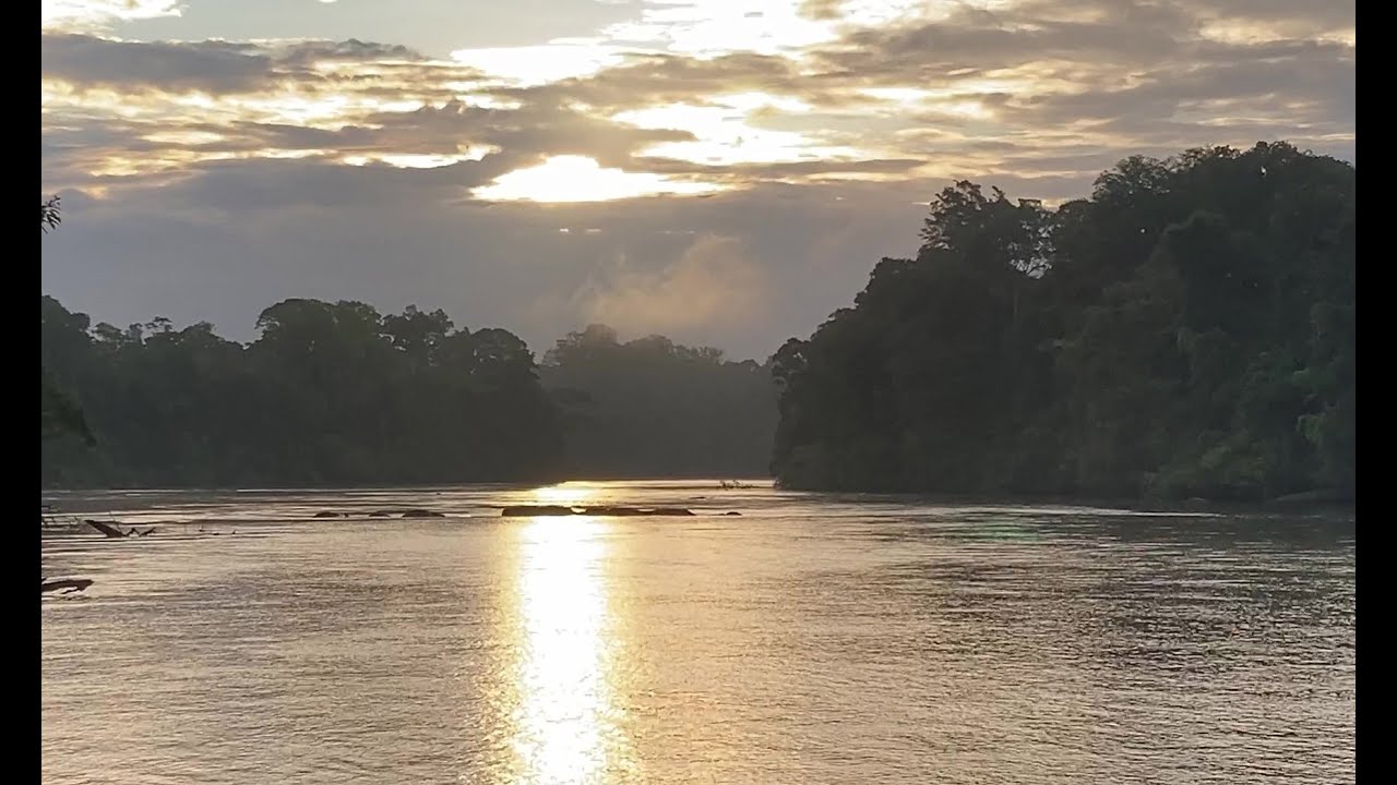 Suriname 2022 - part 1, Gunsi