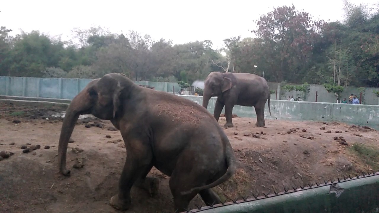 Indore Tourism- Zoo