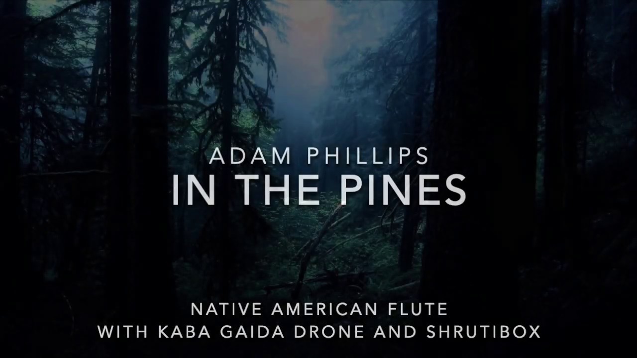 In the Pines by Adam Phillips - Native American Flute