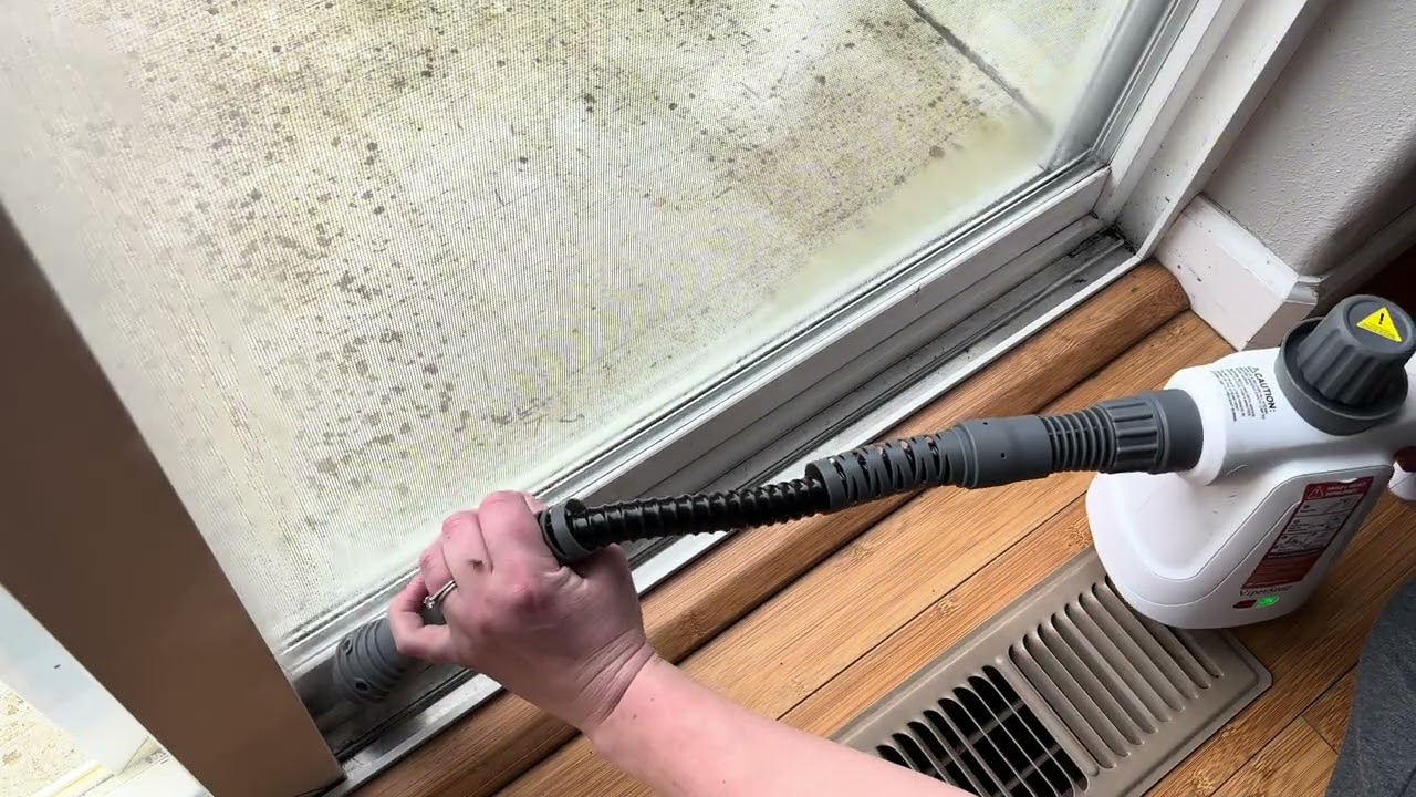 Trying the LaoTzi Handheld Steam Cleaner (Did Not Expect This)