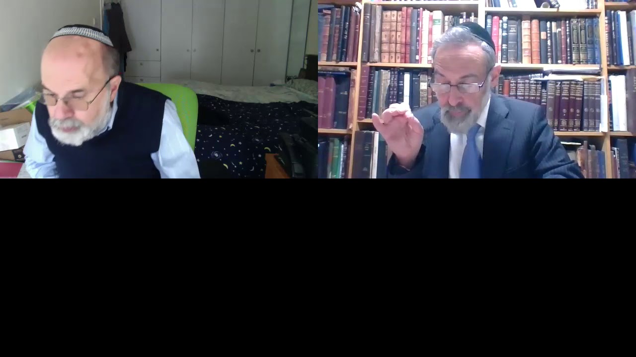 Introduction to Kodshim