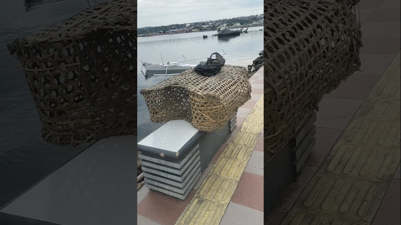 Cara Kerja Bubu Ikan Di Laut #shorts #shortvideo #short #shortsvideo #shortsfeed