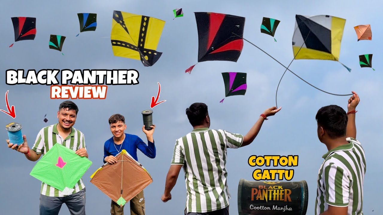 Cotton Gattu Review || Black Panther Gold || Kite Fight 2025 🔥