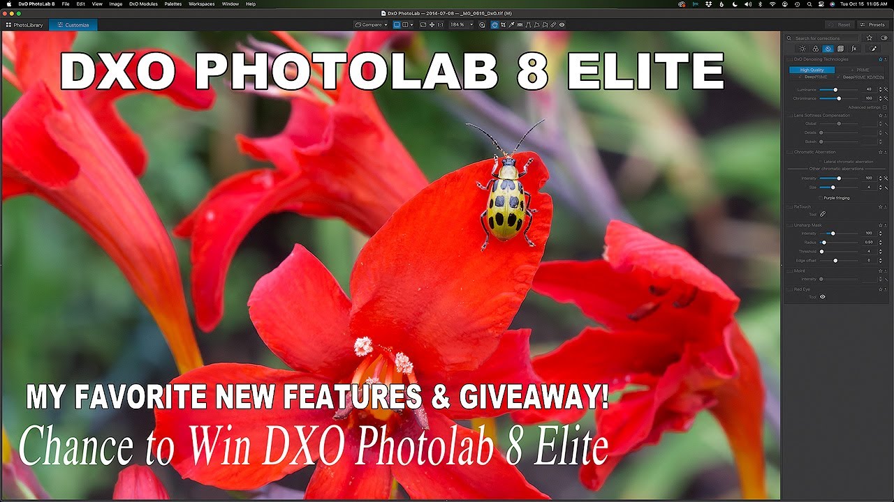 DXO PHOTOLAB 8 ELITE (Мои любимые новые функции) *Участвуйте в розыгрыше DXO PHOTOLAB 8 ELITE*